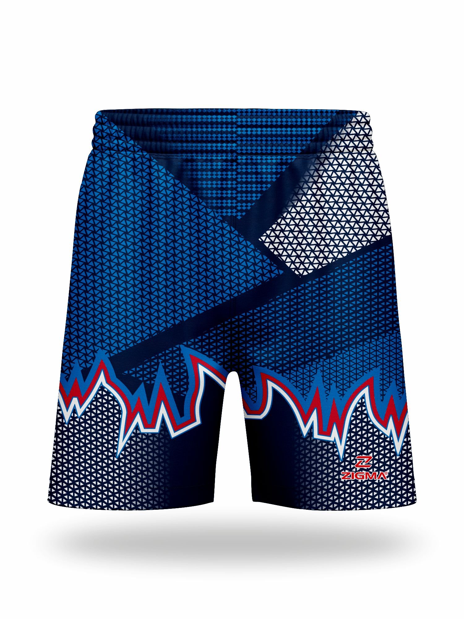 Z1 SP-0016 - Image 1